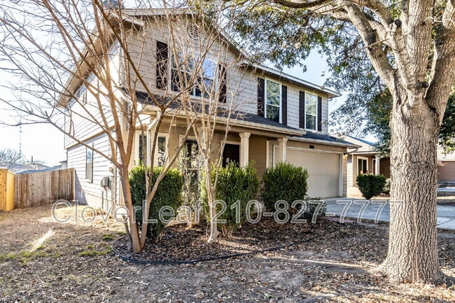 11710 Wayward Daisy in San Antonio, TX - Building Photo - Building Photo