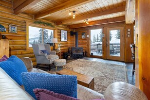 237 Hamilton Ln in Breckenridge, CO - Building Photo