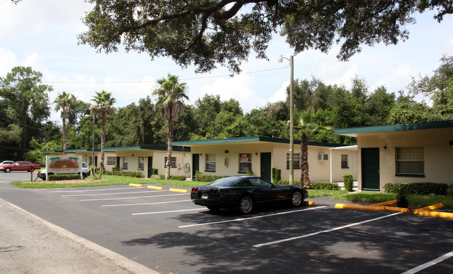 Palma Verde Apartments in Tampa, FL - Building Photo - Building Photo