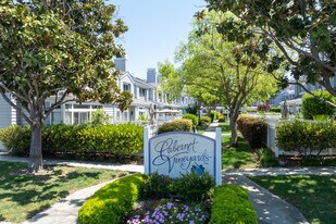 Cabernet Vineyards in San Jose, CA - Building Photo