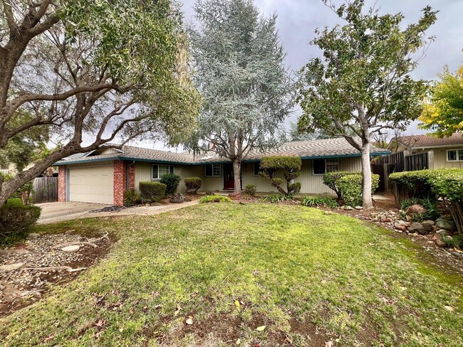 6484 Camelia Dr in San Jose, CA - Foto de edificio - Building Photo