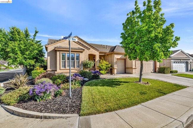 property at 1550 Margil Way
