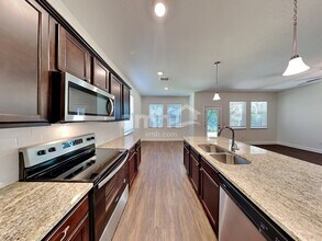 33829 Night Lily Dr in Zephyrhills, FL - Building Photo - Building Photo