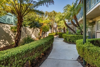 Evergreen Pine in Temple City, CA - Building Photo - Building Photo