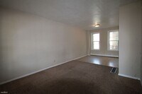 217 Chestnut St photo'