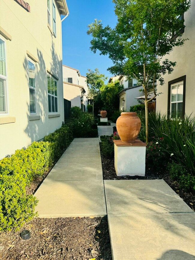 3026 Blackberry Ave in San Ramon, CA - Foto de edificio - Building Photo