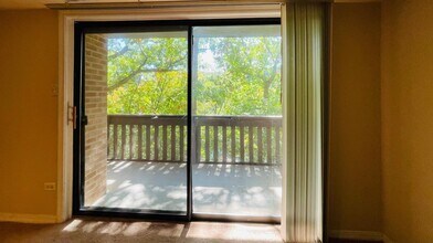 6015 Lakeside Pl in Tinley Park, IL - Building Photo - Building Photo