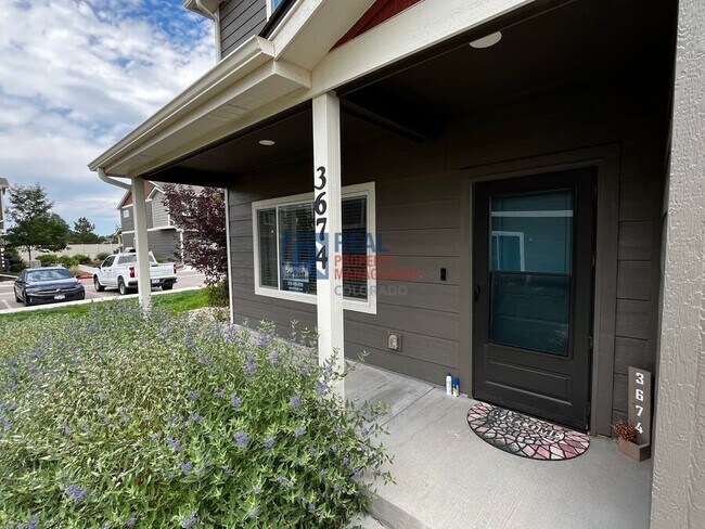 3674 Ronald Reagan Ave in Wellington, CO - Building Photo - Building Photo