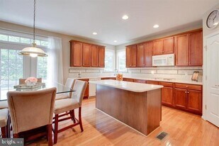 21516 Inman Park Pl in Ashburn, VA - Building Photo
