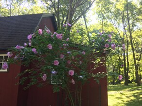 300 Chestnut Hill Rd in Ridgefield, CT - Foto de edificio - Building Photo