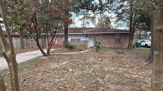 208 Laurie Ln in Willis, TX - Building Photo
