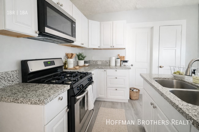 1338 S Catalina St in Los Angeles, CA - Building Photo - Building Photo