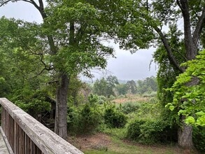 1127 Round Hill Dr in Charlottesville, VA - Building Photo - Building Photo