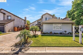 2435 Pinehurst Ct in Discovery Bay, CA - Building Photo - Building Photo