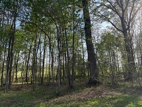 17870 Broad Meadow Dr in Amelia Court House, VA - Building Photo - Building Photo