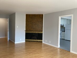 1910 Greenwich St in San Francisco, CA - Building Photo - Building Photo
