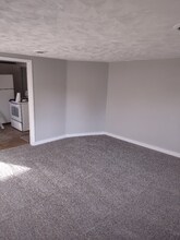 39 Stevenson St in Seneca Falls, NY - Foto de edificio - Building Photo