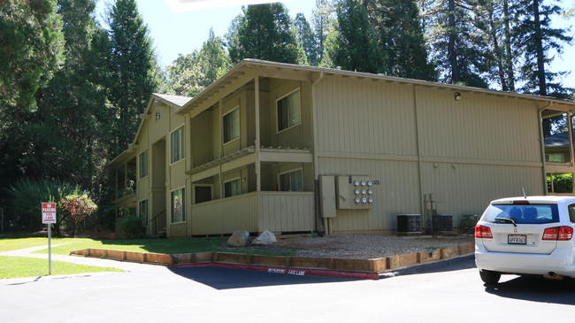 Foresthill Apartments in Foresthill, CA - Building Photo - Building Photo