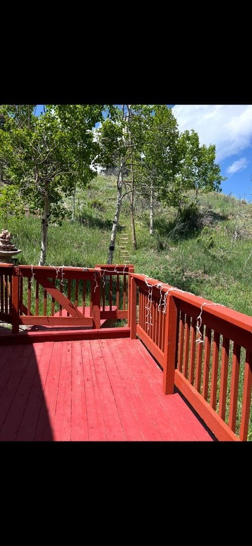 100 Red Rock Ct in Woodland Park, CO - Building Photo - Building Photo