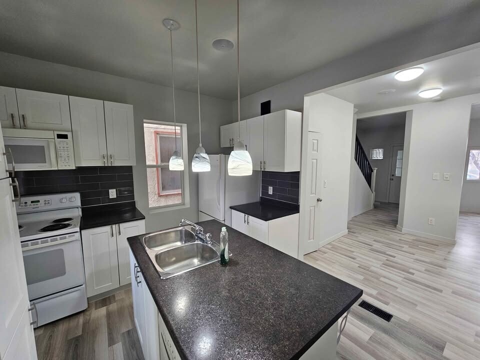 391 Mountain Ave in Winnipeg, MB - Building Photo