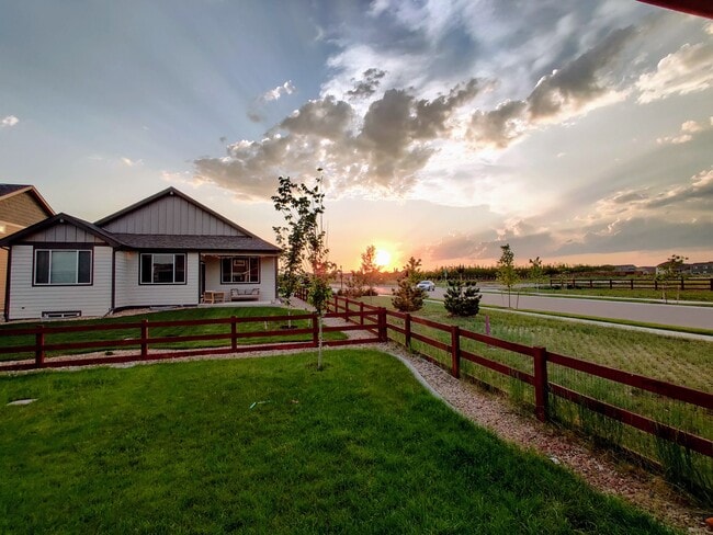 2036 Day Spring Dr in Windsor, CO - Building Photo - Building Photo