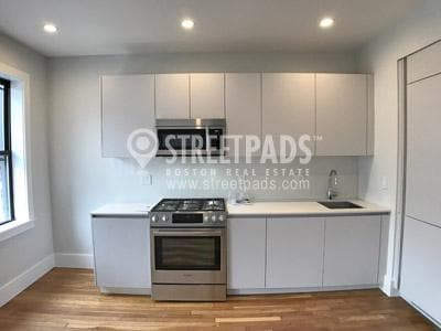 8 Elko St in Boston, MA - Building Photo - Building Photo