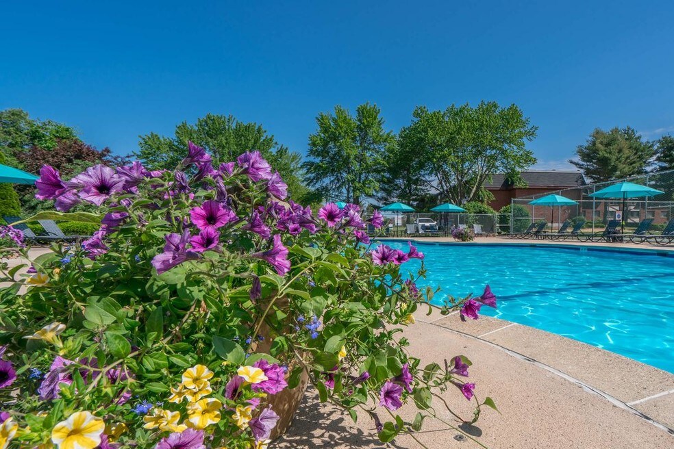 Hockanum Park Apartments East Hartford, CT Apartments For Rent