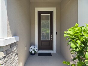 16409 Lucia Gardens Ln in Tampa, FL - Building Photo - Building Photo