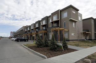 882 85th St SW in Calgary, AB - Building Photo - Building Photo