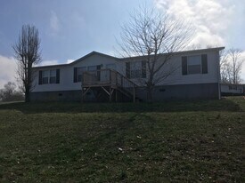 115 McFalls Dr in Dandridge, TN - Building Photo