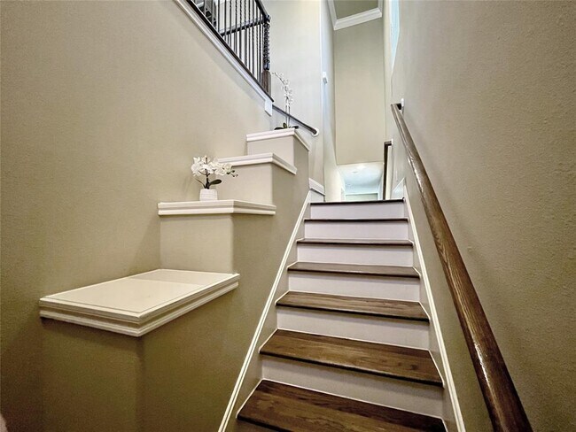 1317 Studer St in Houston, TX - Building Photo - Building Photo