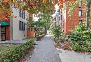 18 Juniper St, Unit #1 in Brookline, MA - Building Photo - Building Photo