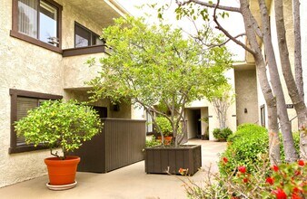 Canyon Glen Apartments in Studio City, CA - Foto de edificio - Building Photo