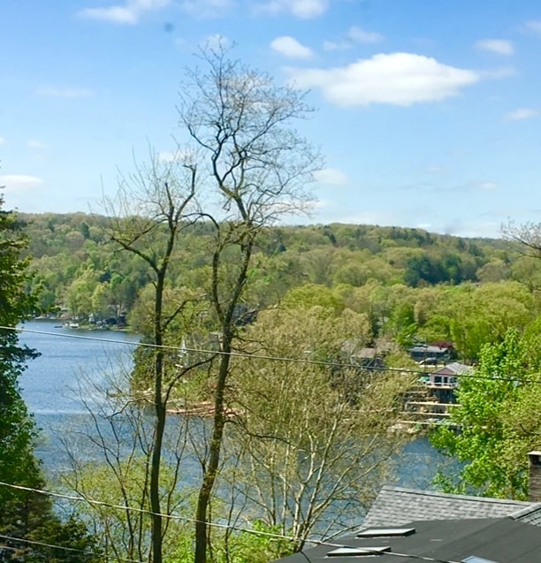 property at 35 Lower Fish Rock Rd