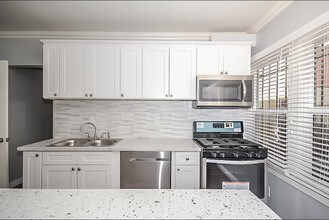 1559-1561 S Harvard Blvd in Los Angeles, CA - Building Photo - Interior Photo
