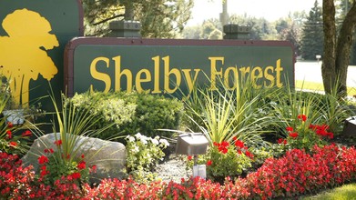 Shelby Forest in Shelby Township, MI - Building Photo - Building Photo