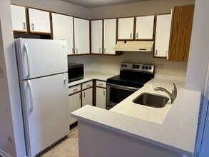 1905 N Hicks Rd in Palatine, IL - Building Photo - Building Photo