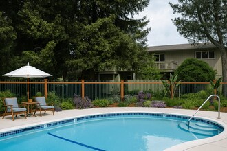 Park Vista Apartments in Pleasant Hill, CA - Building Photo - Building Photo