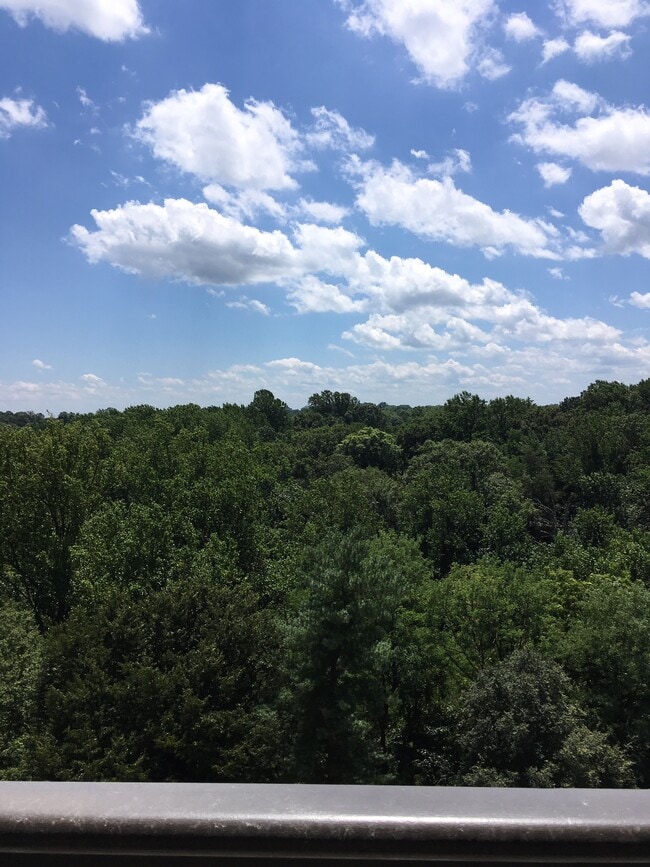 3800 Powell Ln, Unit 10th floor in Falls Church, VA - Building Photo - Building Photo