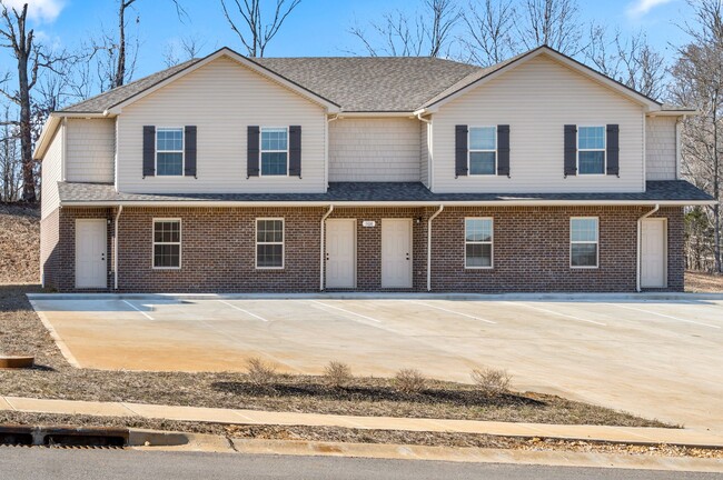 1101 Ziva Ln in Clarksville, TN - Building Photo - Building Photo