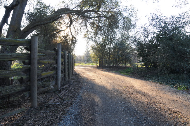 14661 State Highway 120 in Oakdale, CA - Building Photo - Building Photo