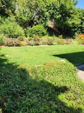 5078 Via Cinta in San Diego, CA - Building Photo - Building Photo