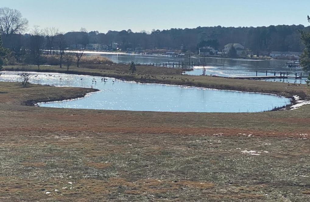 130 Plantation Ln, Unit Garage Efficiency in Stevensville, MD - Building Photo