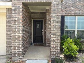 26643 Castiel Dr in Katy, TX - Building Photo - Building Photo