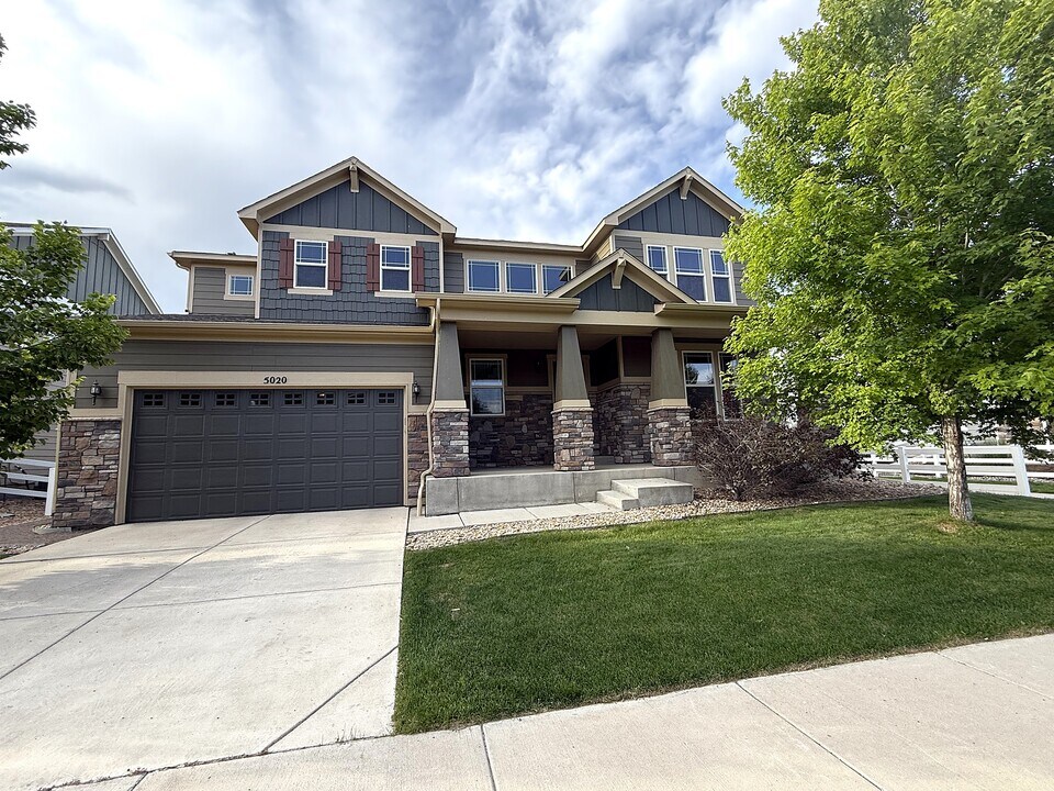 5020 William Pl in Longmont, CO - Building Photo