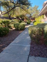 10552 Pine Pointe Ave in Las Vegas, NV - Building Photo