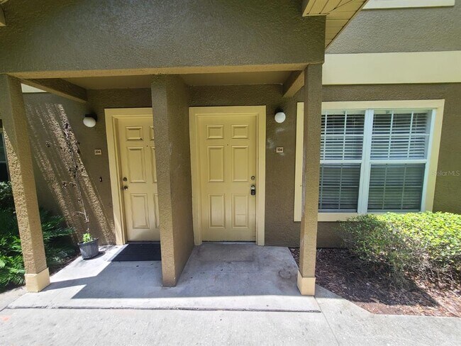 36232 Misty Oak Dr in Zephyrhills, FL - Building Photo - Building Photo