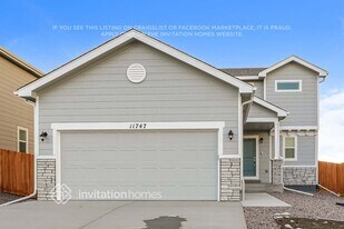 11747 Mission Peak Pl in Colorado Springs, CO - Building Photo