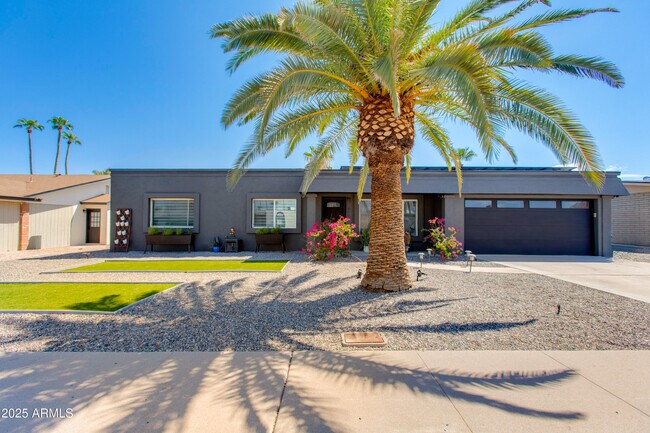 3009 E Dahlia Dr in Phoenix, AZ - Building Photo - Building Photo