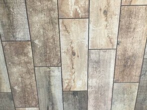 8451 Blackstone Cove in Converse, TX - Foto de edificio - Building Photo